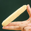 滇枝萃云南西双版纳拇指小玉米 商品缩略图5