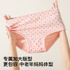 【4条装】中老年100%纯棉三角内裤女加肥加大全棉裤衩女8003中老年三角裤 商品缩略图1