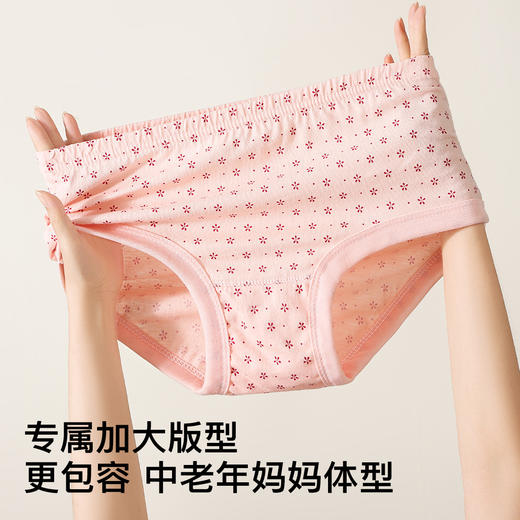 【4条装】中老年100%纯棉三角内裤女加肥加大全棉裤衩女8003中老年三角裤 商品图1