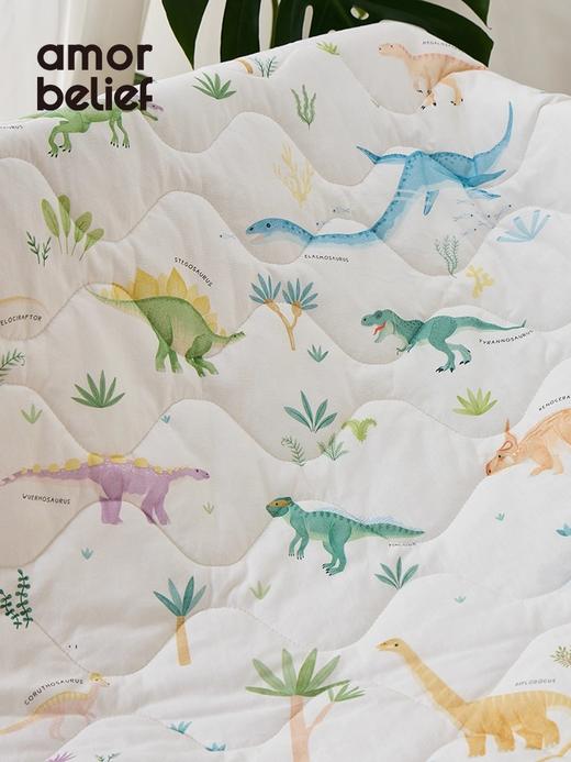 Amor&belief悦肤 云感四季薄被 婴儿宝宝幼儿园盖被儿童成人四季通用 商品图3