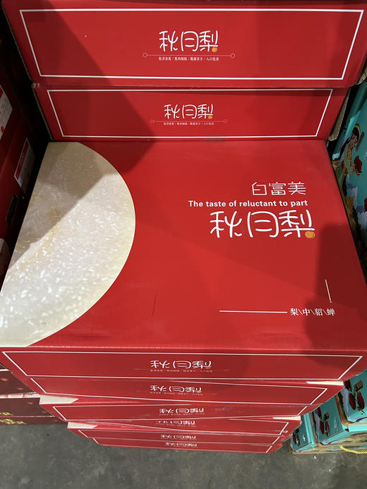 礼盒装白秋月梨富美 商品图4
