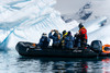 南极三岛：深度南极大陆、福克兰群岛与南乔治亚岛探险28天摄影团｜满足南极旅行梦想，探索神秘南极风光 商品缩略图12