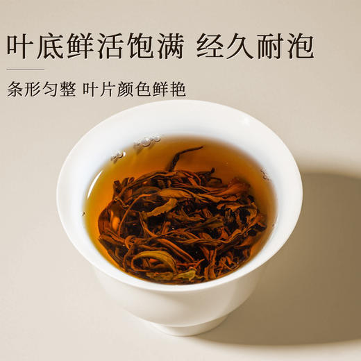 恩施利川红茶高山工夫红茶蜜香自饮散装富硒茶叶500g泥巴哥 商品图3