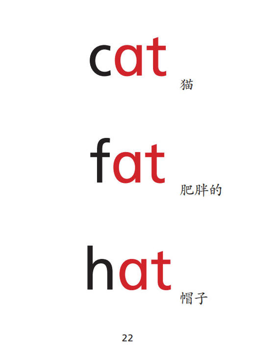 英语口语交际 生词图片卡（教师用）二年级上册【全国新教材】 商品图5