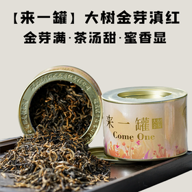【会员日直播】2024年陈升红来一罐大树金芽红茶