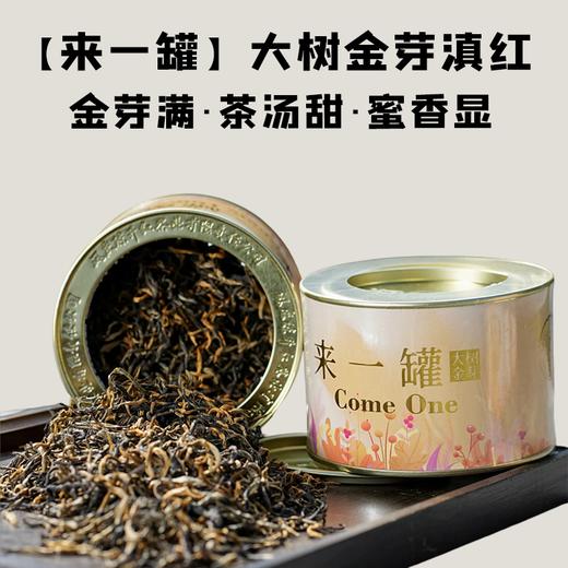 【会员日直播】2024年陈升红来一罐大树金芽红茶 商品图0
