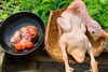三年优质稻田鸭  生态散养 觅食虫草 新鲜现杀  肉质紧实鲜甜，无腥味 商品缩略图3