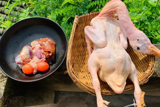 三年优质稻田鸭  生态散养 觅食虫草 新鲜现杀  肉质紧实鲜甜，无腥味 商品图3