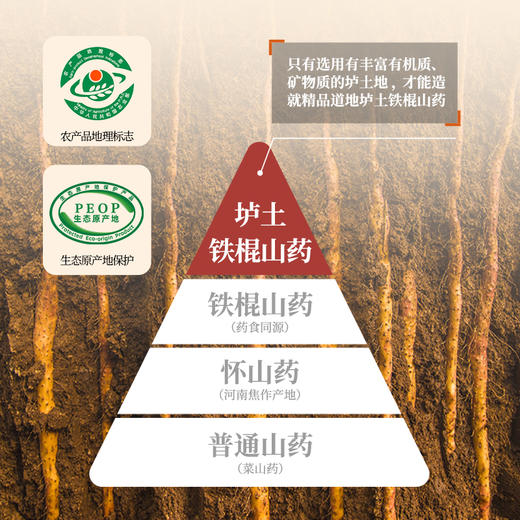 怀山堂 一年陈铁棍山药粉560g罐装温县垆土铁棍怀山药熟粉中华老字号非遗山药粉（2罐礼盒装） 商品图3