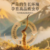 雷允上冬虫夏草8g（1g*8瓶）/盒 商品缩略图4