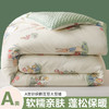 【软糯亲肤！蓬松保暖】A类母婴级，安心睡眠，豆豆绒被子大豆纤维被芯儿童针织棉学生宿舍四季秋冬被。rb 商品缩略图5