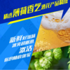 哈尔滨啤酒 冰极纯生8°P啤酒 500ml/罐 商品缩略图4