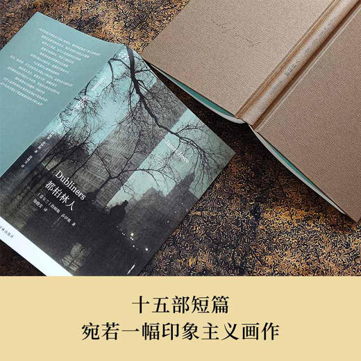 【乔伊斯精选集】都柏林人（ 乔伊斯仅有短篇小说集，西方文学史上的名篇；十五部短篇，宛若一幅印象主义画作，苍凉之中偶现温情；专业英语译者徐晓雯译本，译文精心打磨） 商品图2