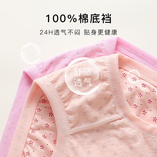 【4条装】中老年100%纯棉三角内裤女加肥加大全棉裤衩女8003中老年三角裤 商品图4