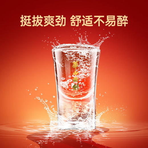 【金皇会296金币专享】西凤酒 华山论剑10年 52度 500ml*2瓶 礼盒装 凤香型白酒 中秋节送礼 商品图6