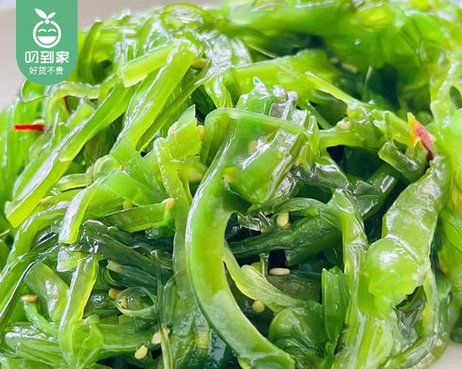 【到手2包】买1送1中华海草（凉拌）/1包（400g，固形物≥75%）生产日期：26年1月 商品图5