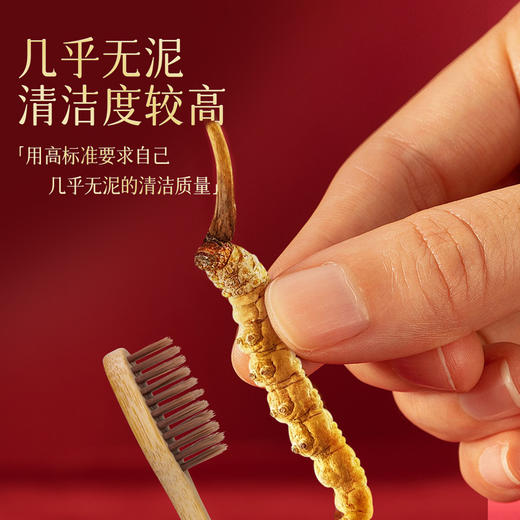 雷允上冬虫夏草8g（1g*8瓶）/盒 商品图8