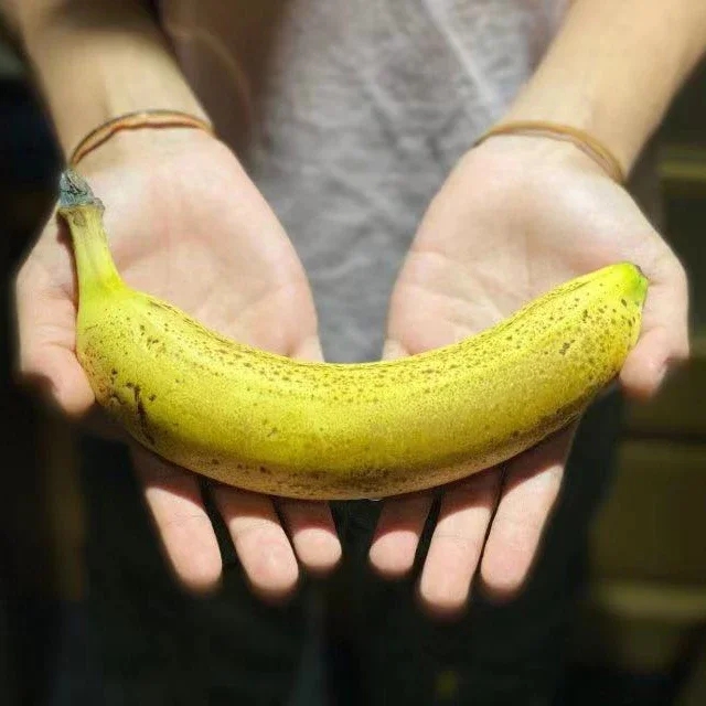 【哈尔滨同城配送】高山自然熟甜糯香蕉🔥【需要自行催熟口袋扎紧放两个苹果】不打催熟剂需催熟 遵循自然农法直邮