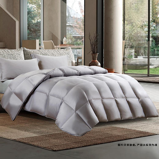 鑫缘 臻绒系列手工白鹅绒被 EYBC 商品图1