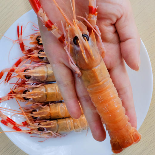 东海·野生海螯虾 | 2025新鲜到港 活虾捕捞 刺身级别 纯净无污染 -60℃急速活冻 鲜嫩肥美 高蛋白高营养 商品图2