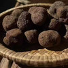 云南新鲜黑松露 尝鲜1公斤装  “一口入魂”的味觉记忆 商品缩略图0