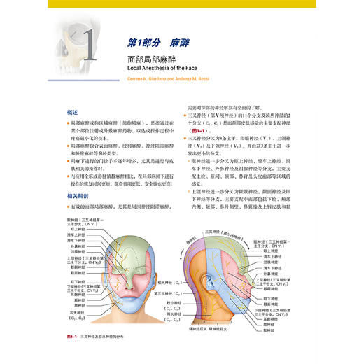 整形外科手术精要Ⅲ：头颈部重建外科手术精要 俞楠泽 等译 适合于从事美容外科整形科皮肤科医生阅读的参考书 辽宁科学技术出版社 商品图3