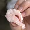 野生七星鳗鱼丨渤海湾捕捞，纯野生鳗鱼，富含蛋白质和优质脂肪，肉质紧实，味道鲜美，2条/4条⭐顺丰空运 商品缩略图2