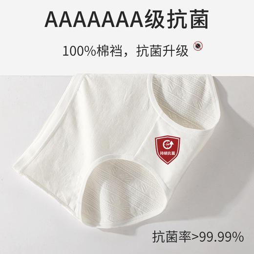 【不卷边 不夹臀 才是好内裤 】60S女士纯棉平角内裤女高腰大码提臀收腹7A蚕丝yi菌打底裤女新款新品 商品图7