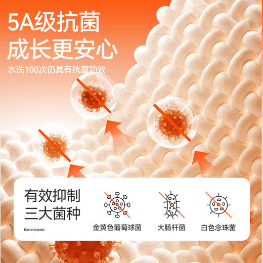 【羊绒蛋白打底衫】男女童中领长袖针织衫冬季新款安奈儿童装EM541627 商品图3