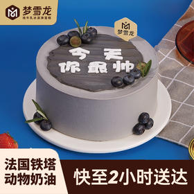 今天你最帅 .纯牛乳冰淇淋蛋糕 |  梦雪龙