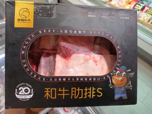 雪龙和牛牛肋排 商品图0