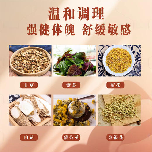 脱敏茶-甘草紫苏蒲公英茶 商品图2