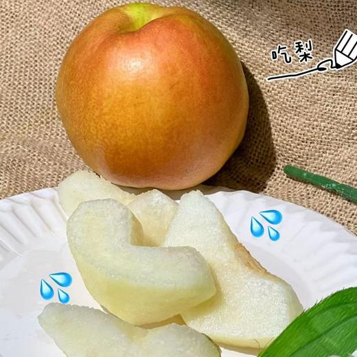 【玉露香梨】中华大美梨，口口爆汁，如饮玉露!皮薄肉厚，梨汁爆多嫩到带皮啃，松脆清甜，老人小孩都能吃，冷藏后口感更像“冰爽梨汁”，健康年货就选这份“会呼吸的甜”！ 商品图1