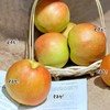 【玉露香梨】中华大美梨，口口爆汁，如饮玉露!皮薄肉厚，梨汁爆多嫩到带皮啃，松脆清甜，老人小孩都能吃，冷藏后口感更像“冰爽梨汁”，健康年货就选这份“会呼吸的甜”！ 商品缩略图4