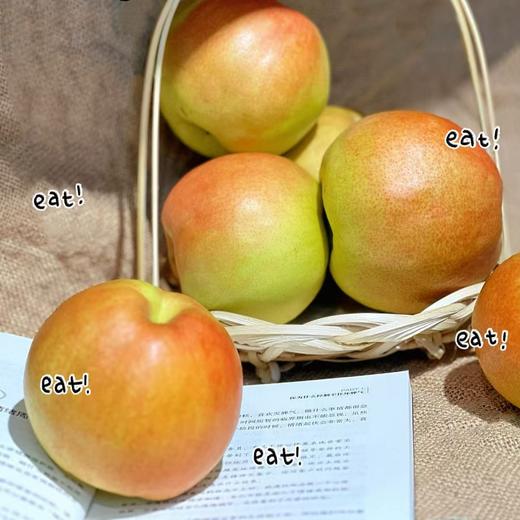 【玉露香梨】中华大美梨，口口爆汁，如饮玉露!皮薄肉厚，梨汁爆多嫩到带皮啃，松脆清甜，老人小孩都能吃，冷藏后口感更像“冰爽梨汁”，健康年货就选这份“会呼吸的甜”！ 商品图4