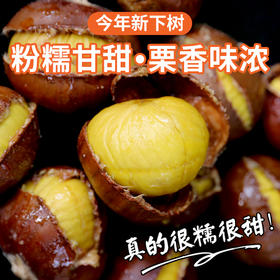 密农人家2025年燕山新板栗  密云特产粉糯香甜 1斤