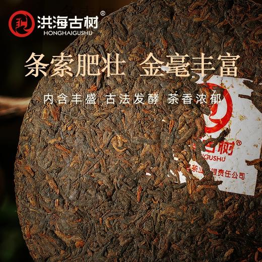洪海古树大布朗-普洱茶【熟茶】紧压茶 商品图2