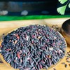 有机紫糯米糙米  500g/盒装【京东快递送货上门】 商品缩略图1
