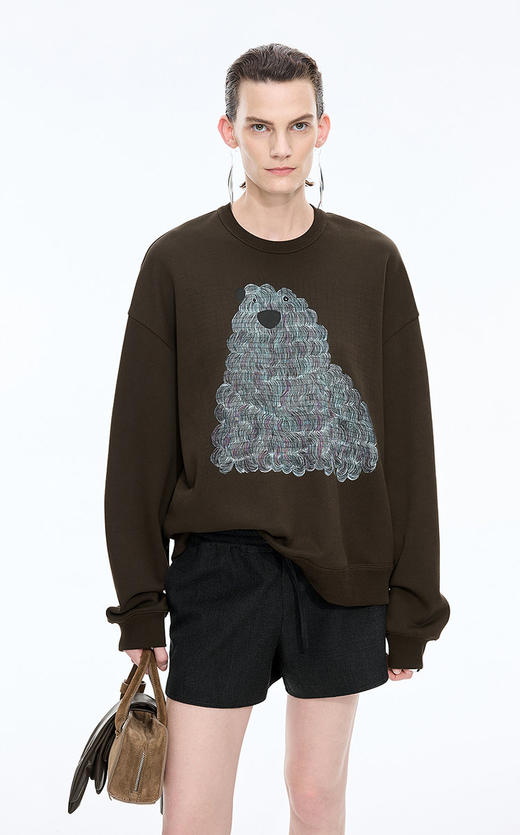 【高品质私服】【JN狗狗图案套头深褐色卫衣】自带高级哑光质感 显瘦慵懒G1565-CC【无标出货 介意慎拍】 商品图6