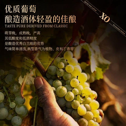 热卖中！！【法国原瓶进口】卡斯贝格·皇家熊威 XO 白兰地 1500ML  40%vol 商品图3