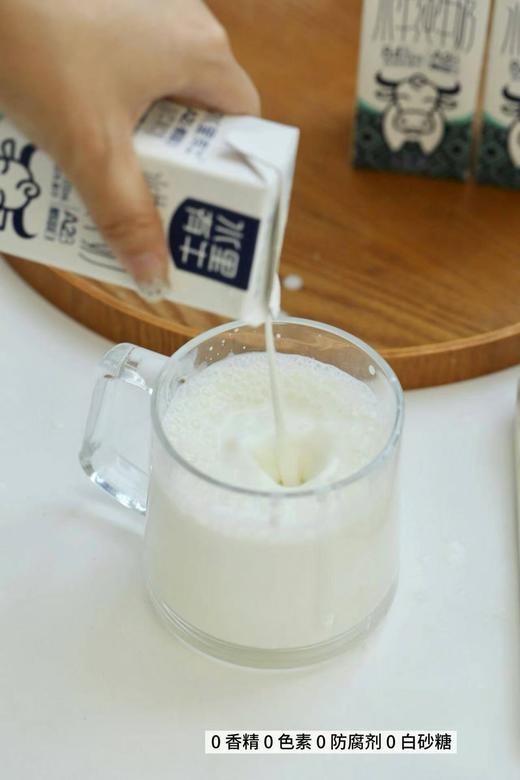 水里有牛纯牛奶 商品图2