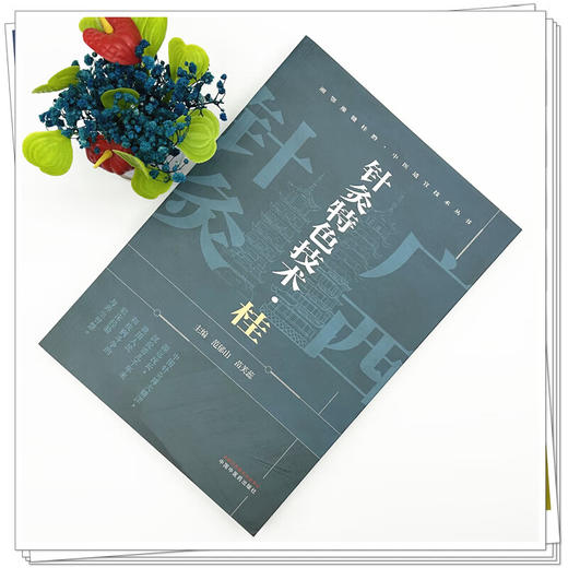 针灸特色技术:桂 湘鄂豫赣桂黔中医适宜技术丛书 范郁山 苗芙蕊 主编 适合针灸临床医师及针灸爱好者阅读 中国中医药出版社  商品图3