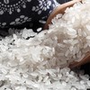 金龙鱼 鲜萃长粒香米5KG 商品缩略图3