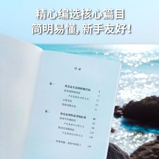 快乐主义（大张伟热爱的哲学家！马克思、尼采、周国平推崇备至，献给现代人的焦虑自救手册，内卷时代的松弛生存术） 商品图5