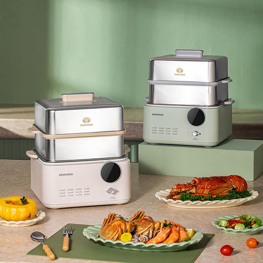 大宇多功能电蒸锅DYZL-12L35【LXKGZQ4.0】 商品图3