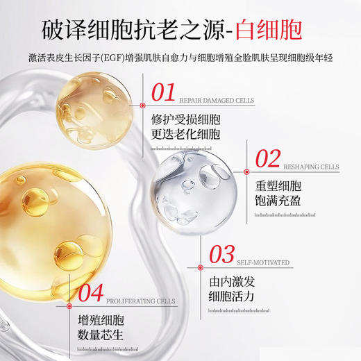 [小滋心选]【活动价￥49.9/3盒】DoThallo白细胞胶原超分子赋活霜 商品图2