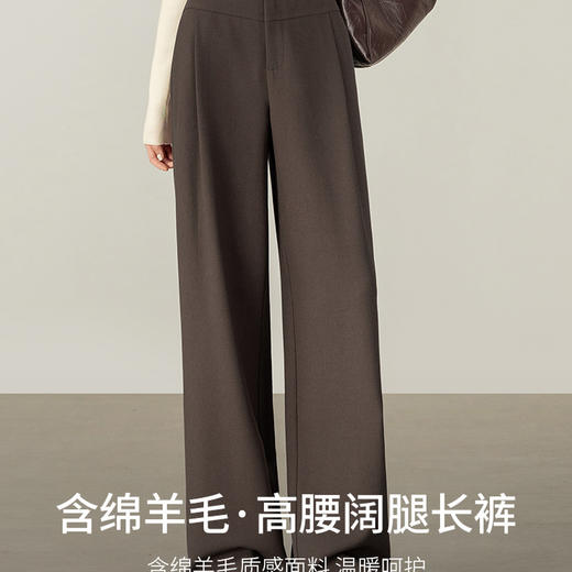 【内购】【含绵羊毛】通勤梨型身材松紧高腰立体褶藏肉显瘦宽松阔腿长裤-153KD0077 商品图1