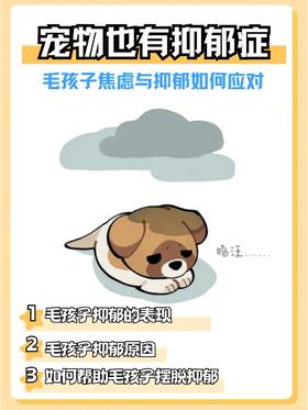 毛孩子抑郁的概率并不低❗千万别忽视