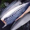 【挪威青花鱼】新鲜分割 油脂丰富 肉质鲜嫩 商品缩略图1
