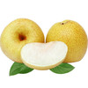【秋季力荐】安徽砀山酥梨5斤 单果350g以上 商品缩略图2